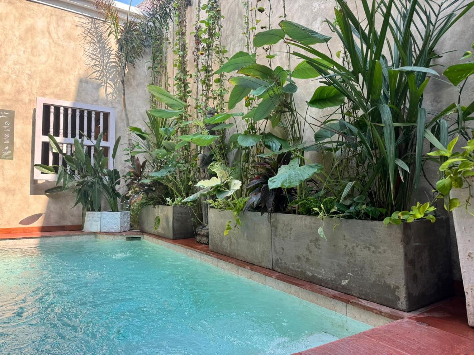 Moet Cartagena Hotel Boutique Adutls Only Bagian luar foto